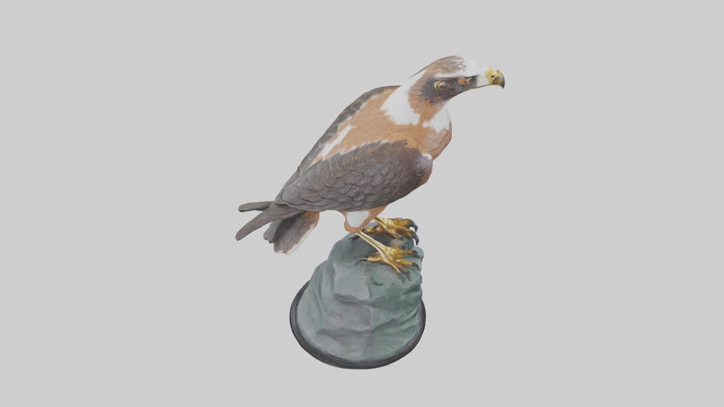 Montagus Harrier statue model 3D model