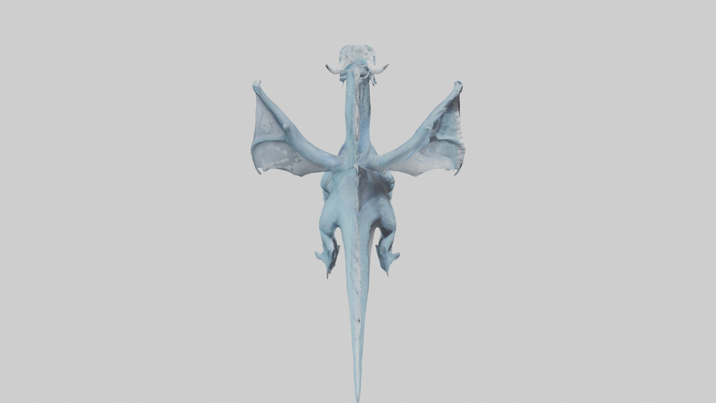 3D model Moon Dragon model VR / AR / low-poly