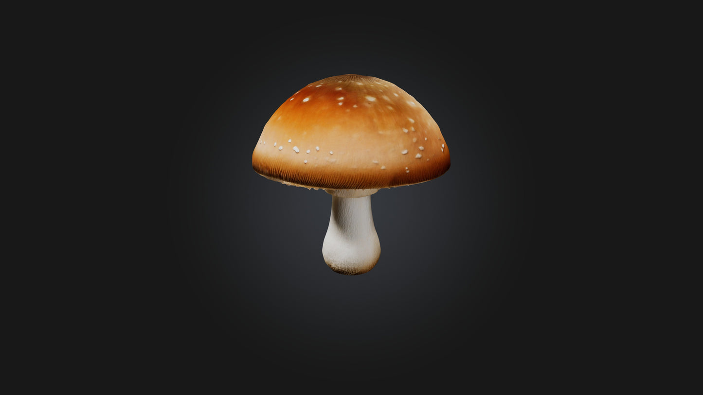 Mushroom 3D model