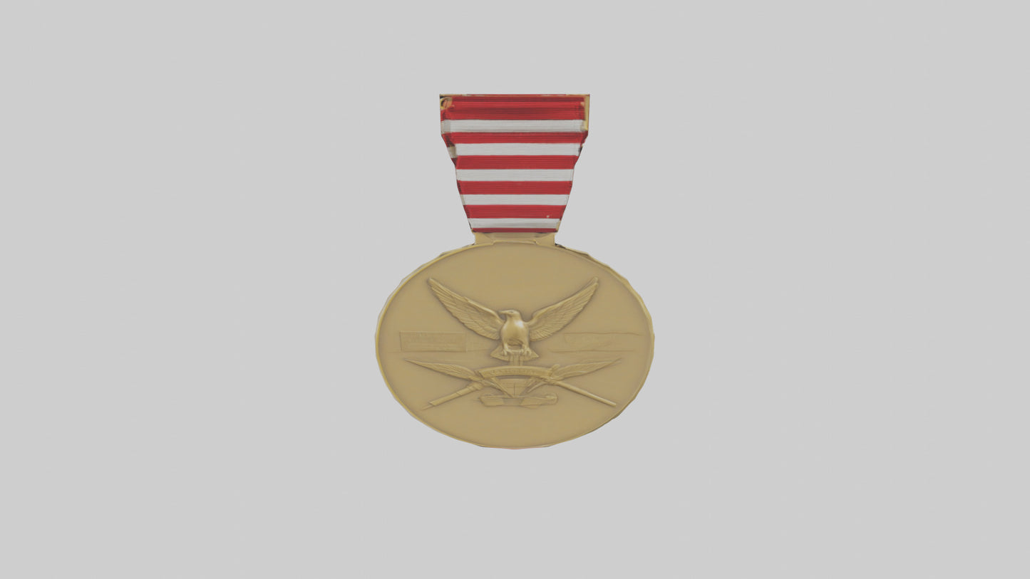 National Defense Medal model VR / AR / low-poly