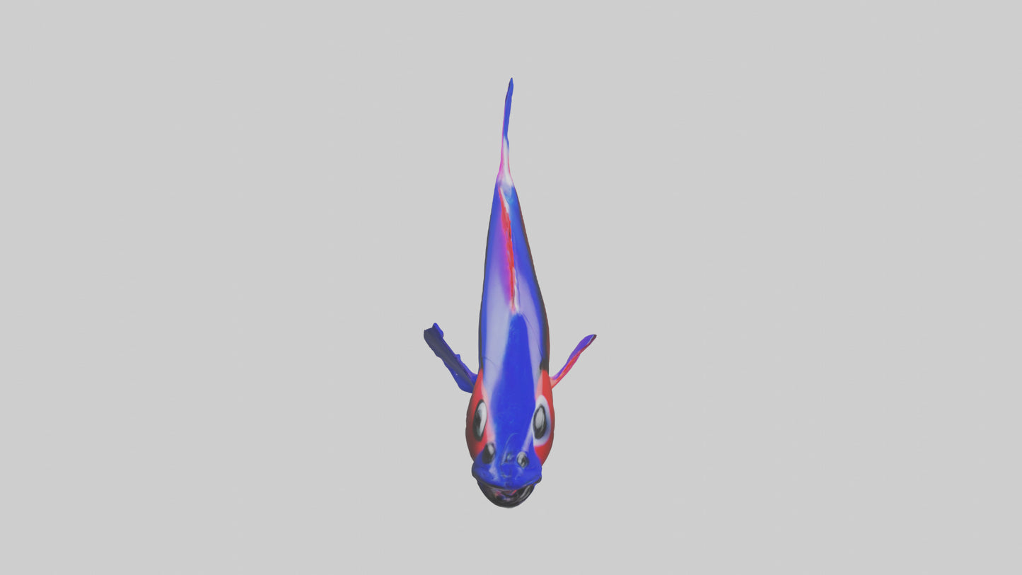 3D model Neon Tetra swimming model VR / AR / low-poly