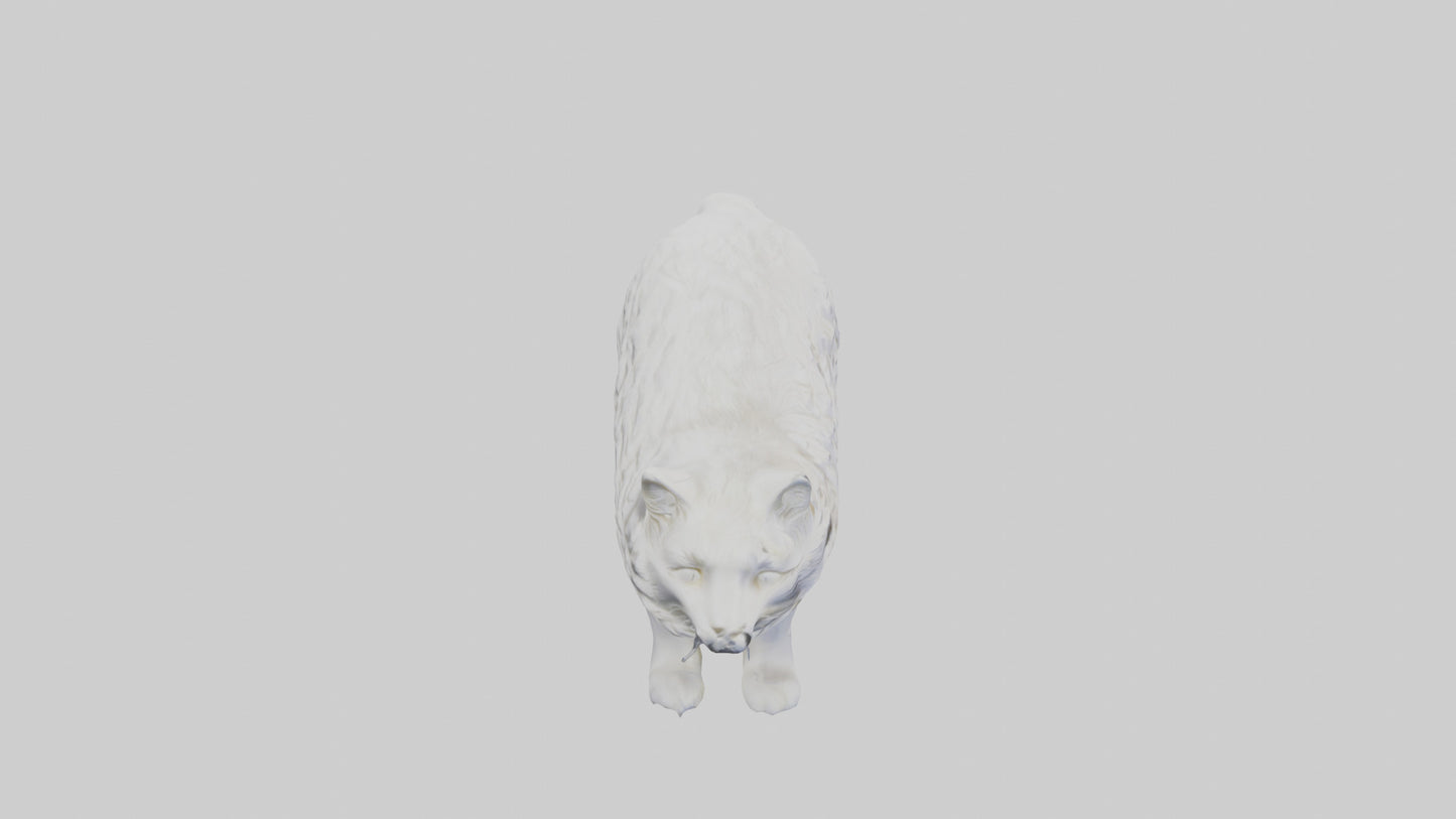 Norwegian Forest Cat statue model VR / AR / low-poly