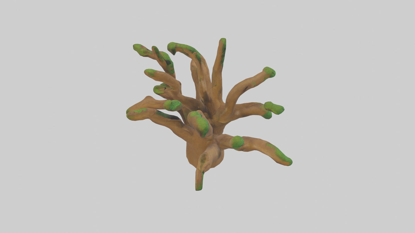 3D model Oak Tree Model VR / AR / low-poly