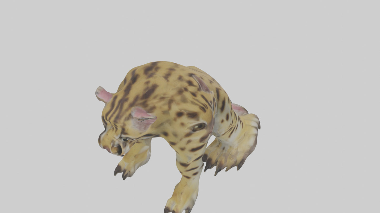 Ocelot Paws Model 3D model