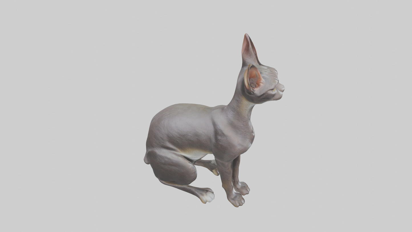 Oriental Shorthair statue model 3D model
