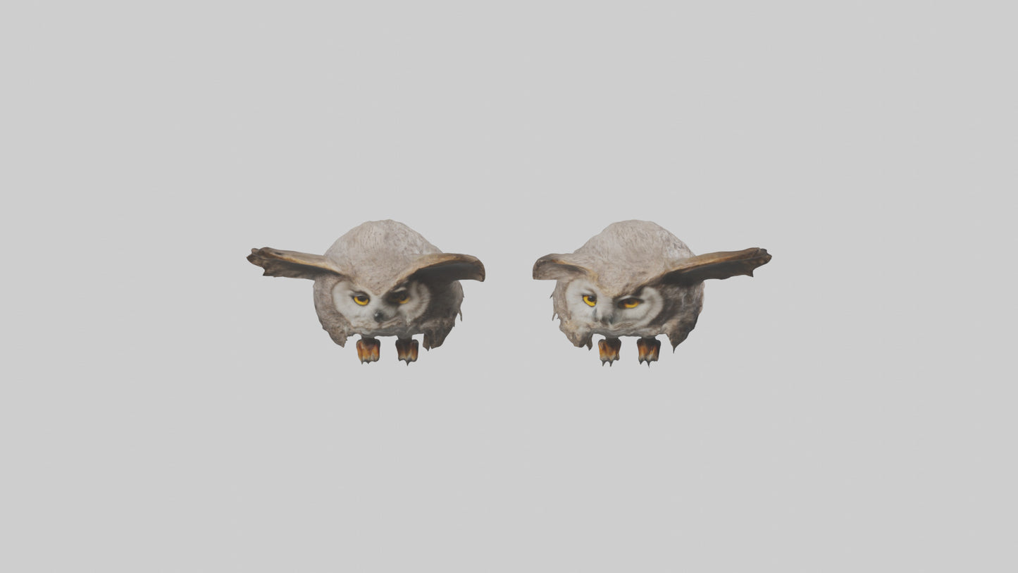 3D model Owl Eyes Model VR / AR / low-poly