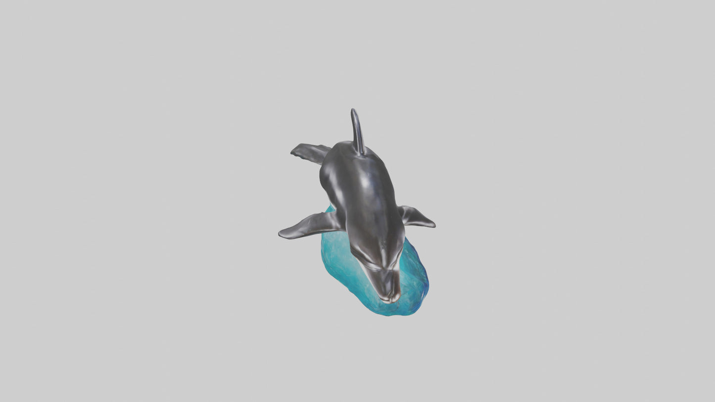 3D model Pacific Whitesided Dolphin statue model VR / AR / low-poly