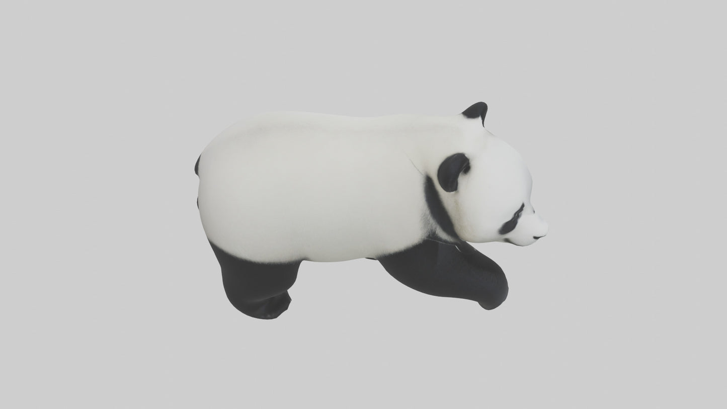 3D model Panda walking model VR / AR / low-poly
