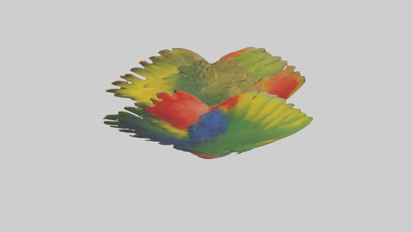 3D model Parrot Heart VR / AR / low-poly