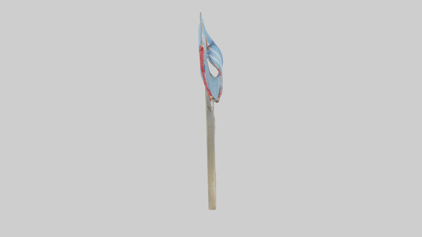 Peacekeepers Medal model VR / AR / low-poly