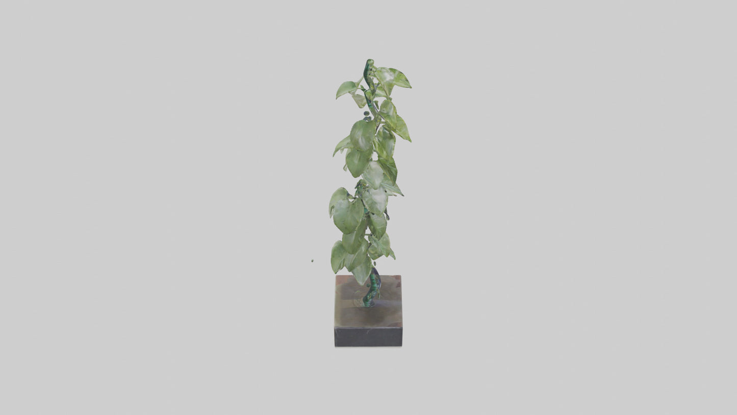 Plant Spiral Sculpture model VR / AR / low-poly