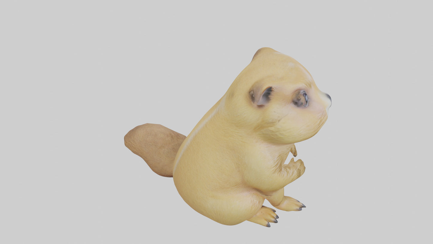 3D model Prairie Dog sitting model VR / AR / low-poly