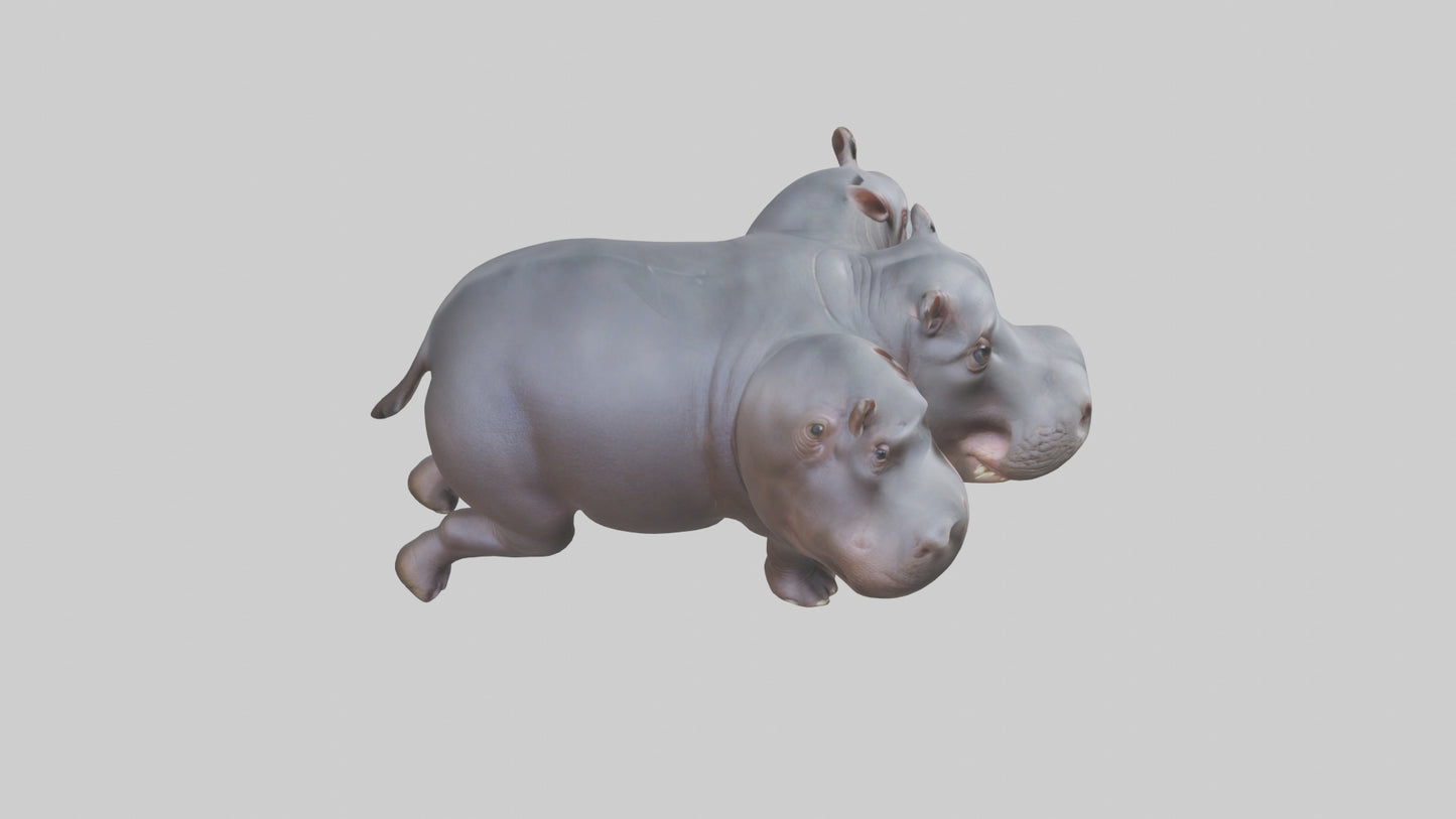 3D model Pygmy Hippo walking model VR / AR / low-poly