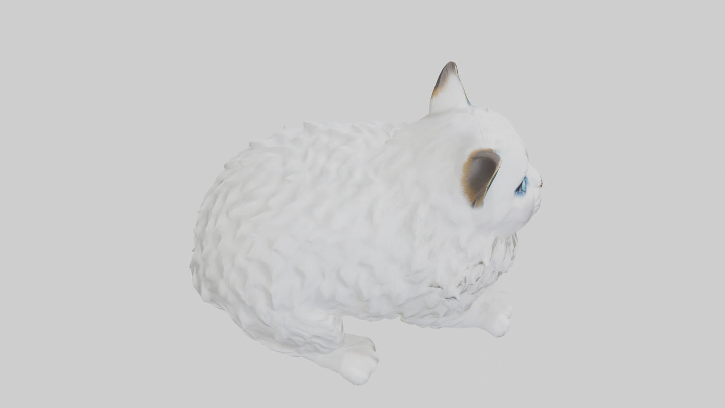 3D model Ragdoll Cat statue model VR / AR / low-poly