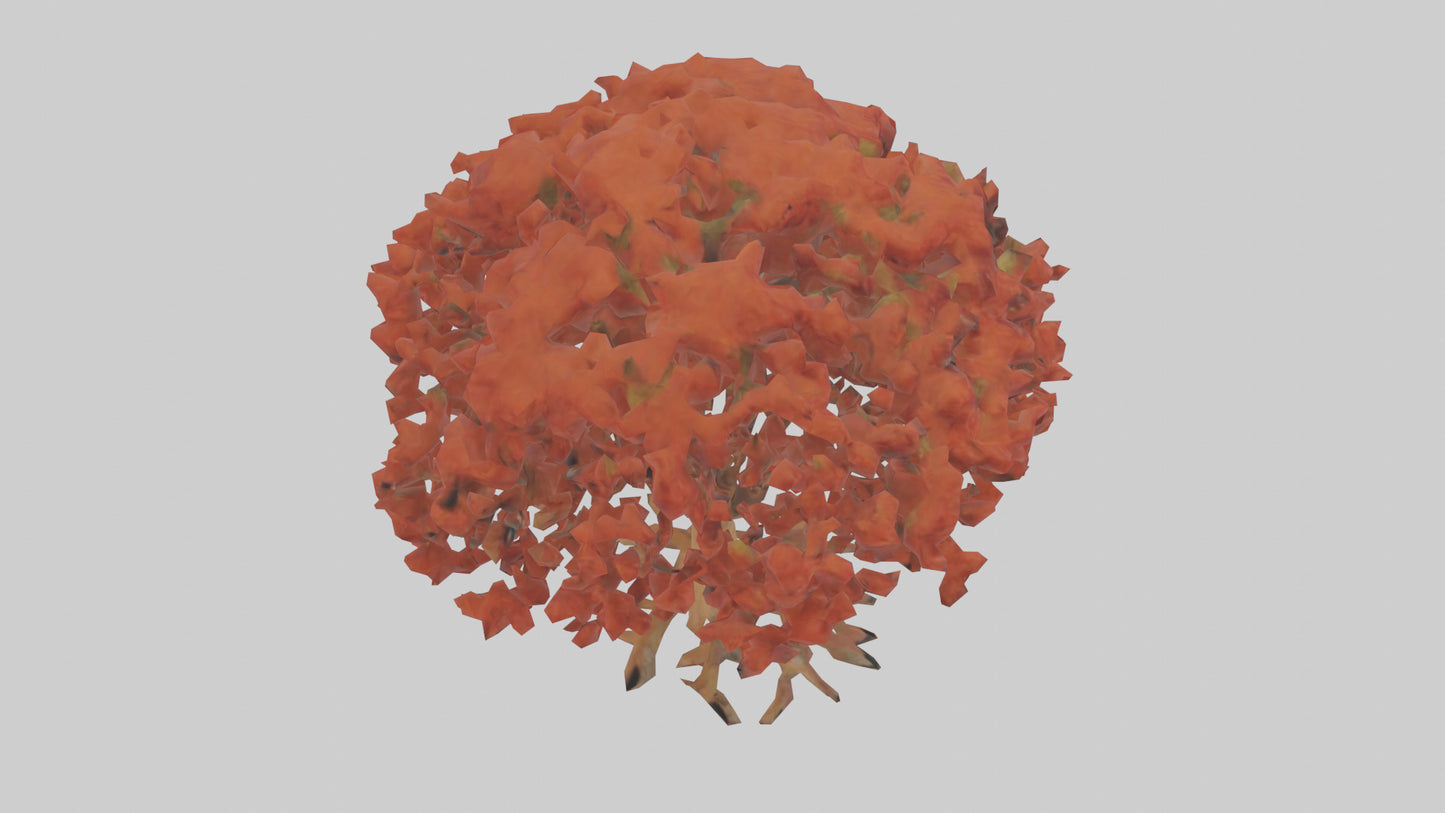 3D model Red Alder tree model VR / AR / low-poly