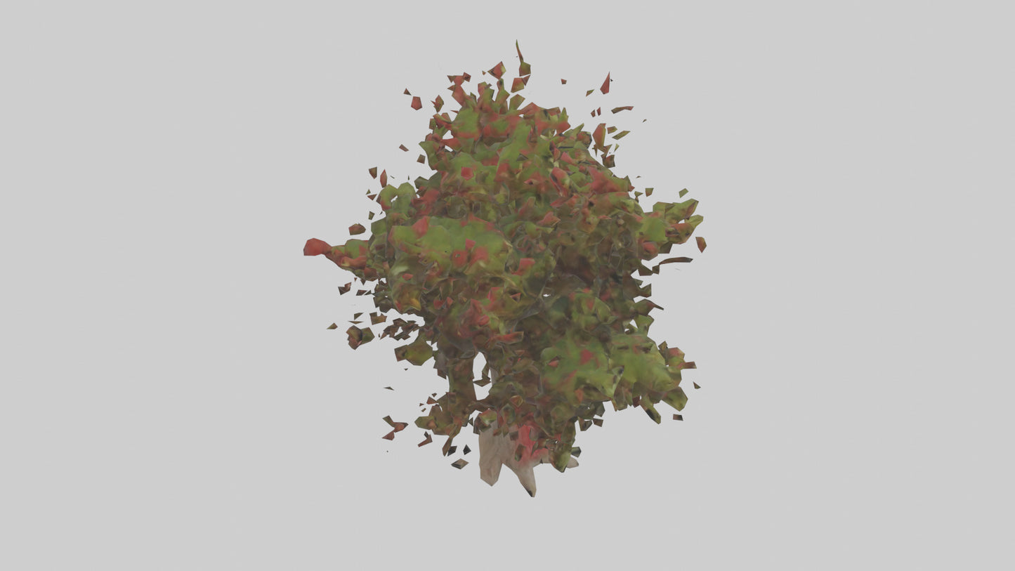 3D model Red Bay tree model VR / AR / low-poly