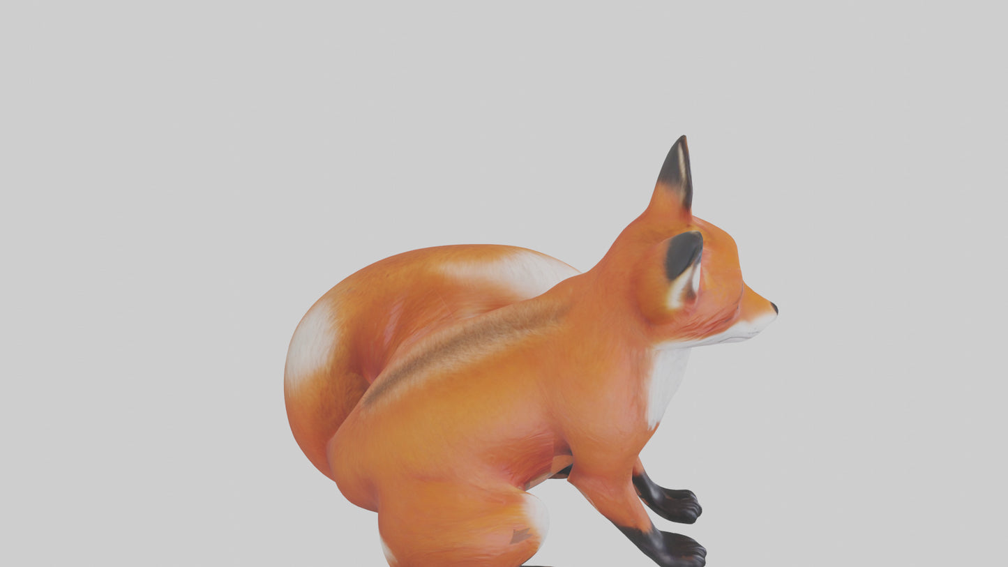 Red Fox sitting model VR / AR / low-poly