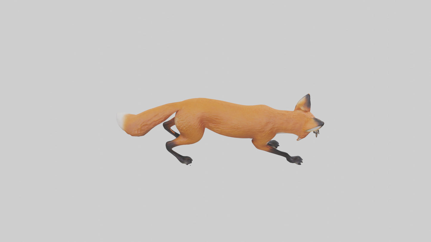 Red Fox stalking model VR / AR / low-poly