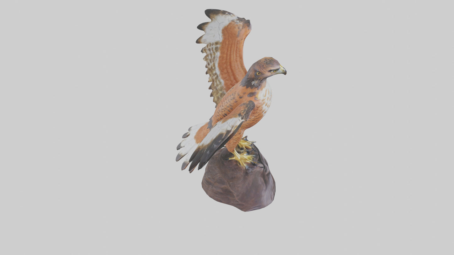 Redtailed Hawk statue model VR / AR / low-poly