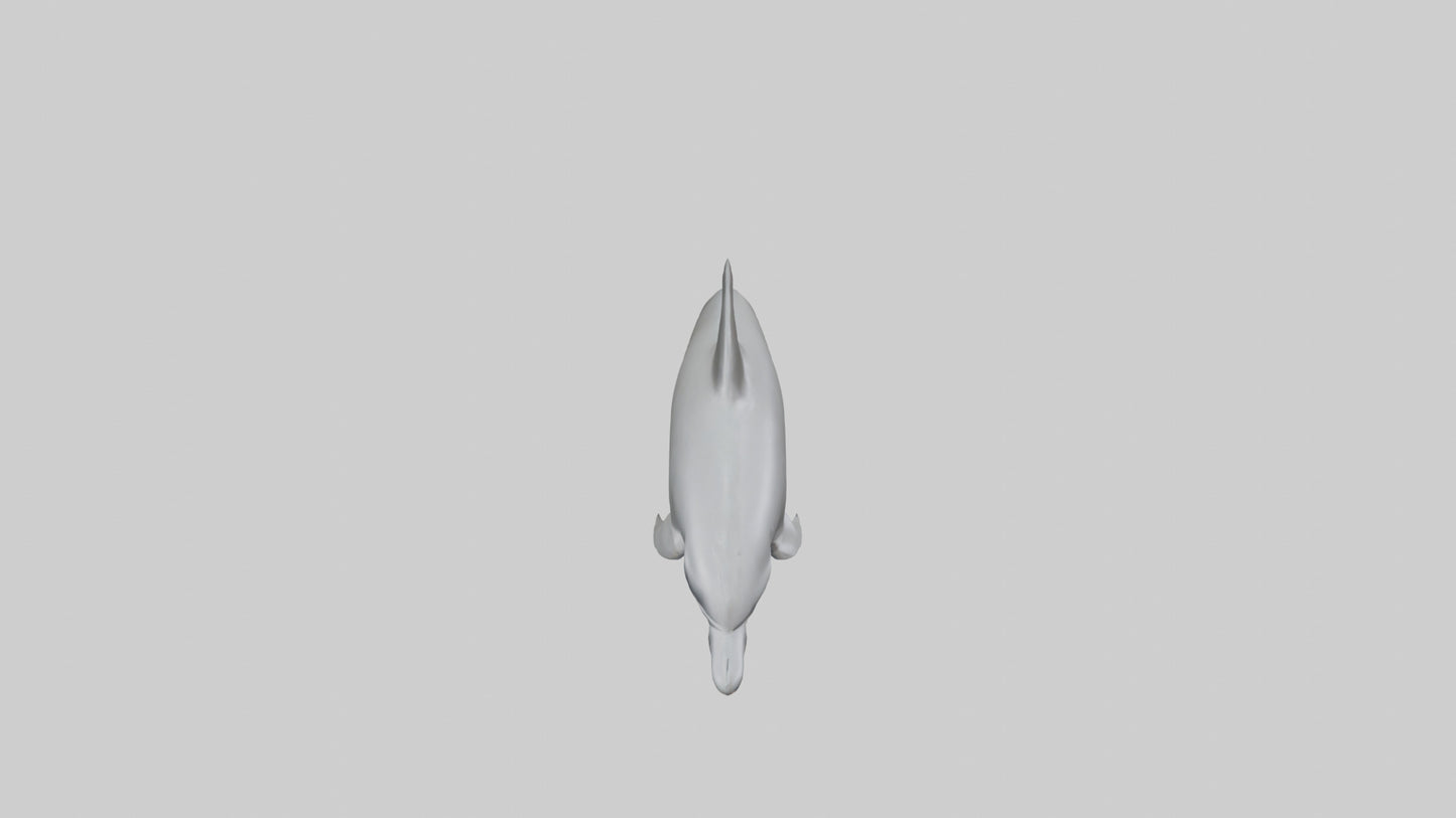 River Dolphin hunting model VR / AR / low-poly