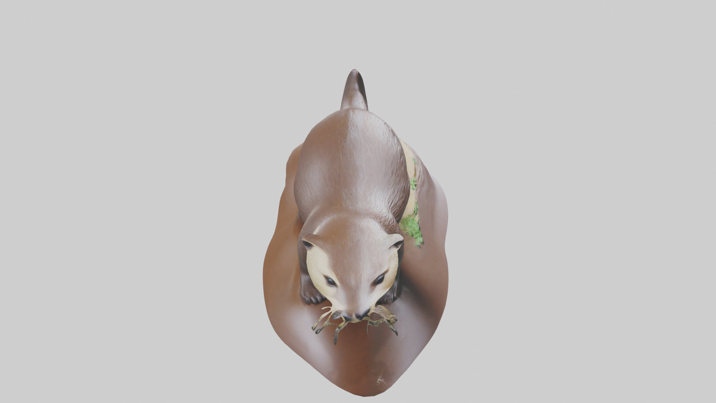 River Otter sliding model VR / AR / low-poly