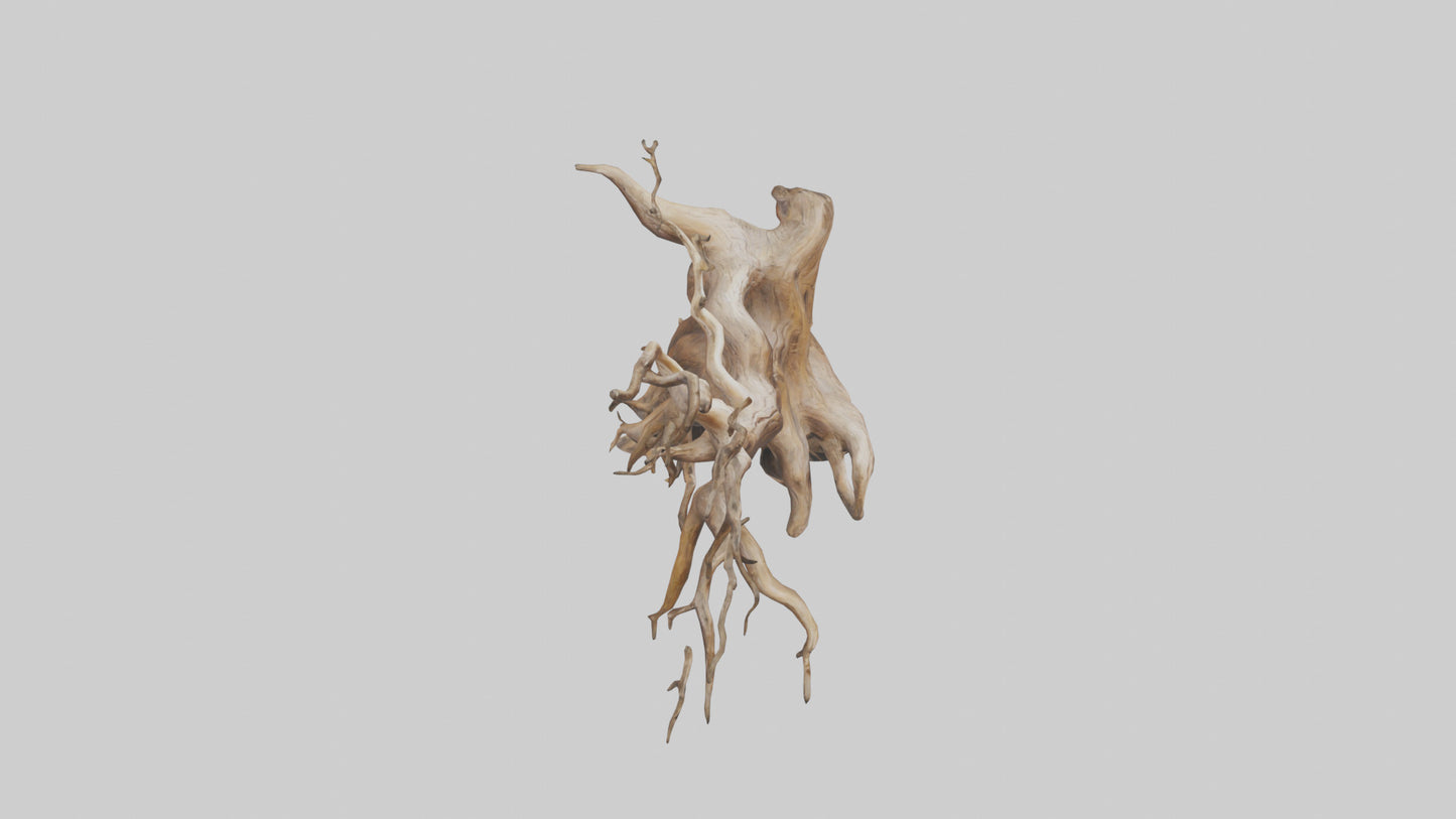 Root Tree Branch Sculpture model 3D model