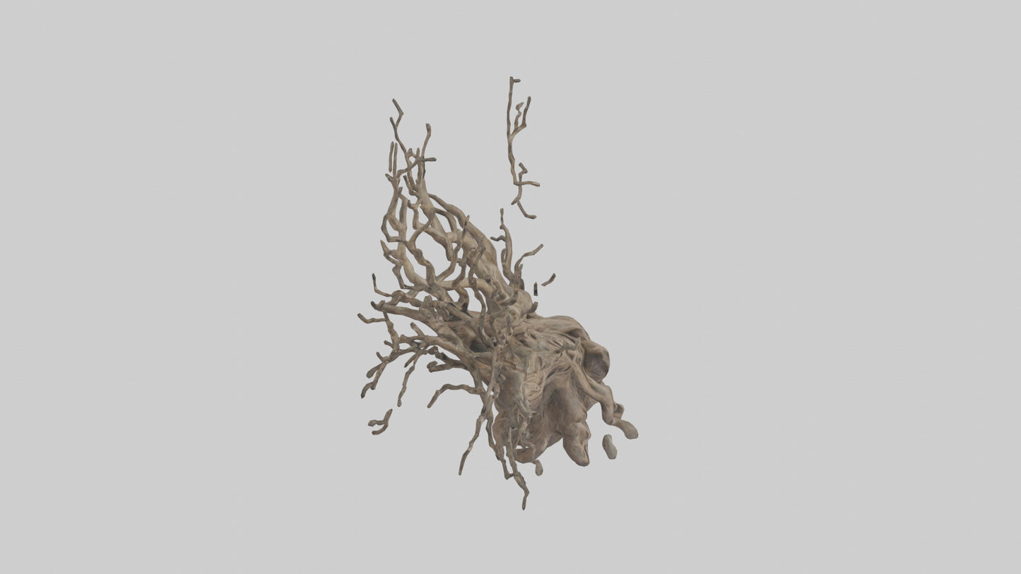 3D model Roots and Branches sculpture model VR / AR / low-poly