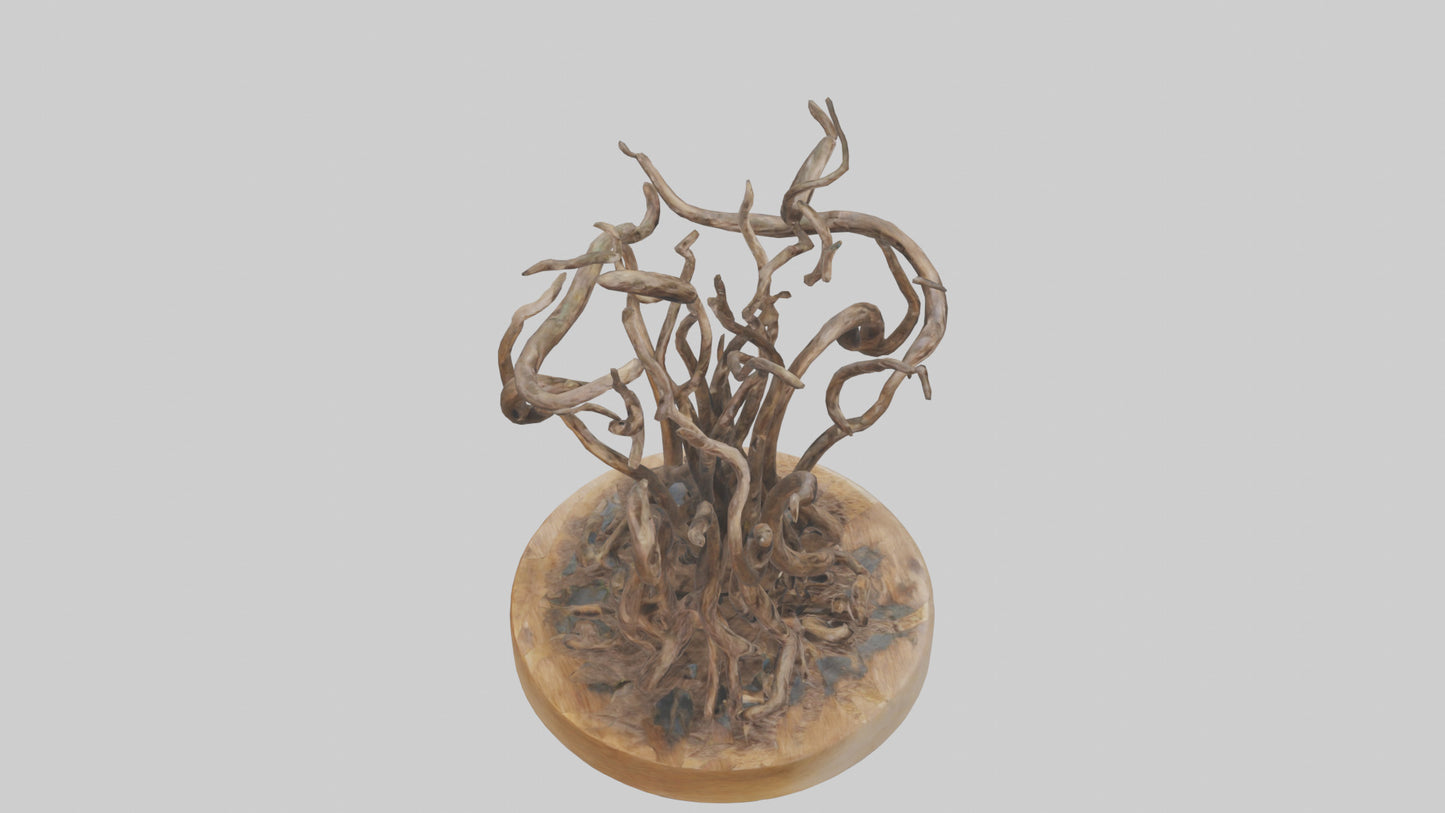 3D model Roots in Motion sculpture model VR / AR / low-poly