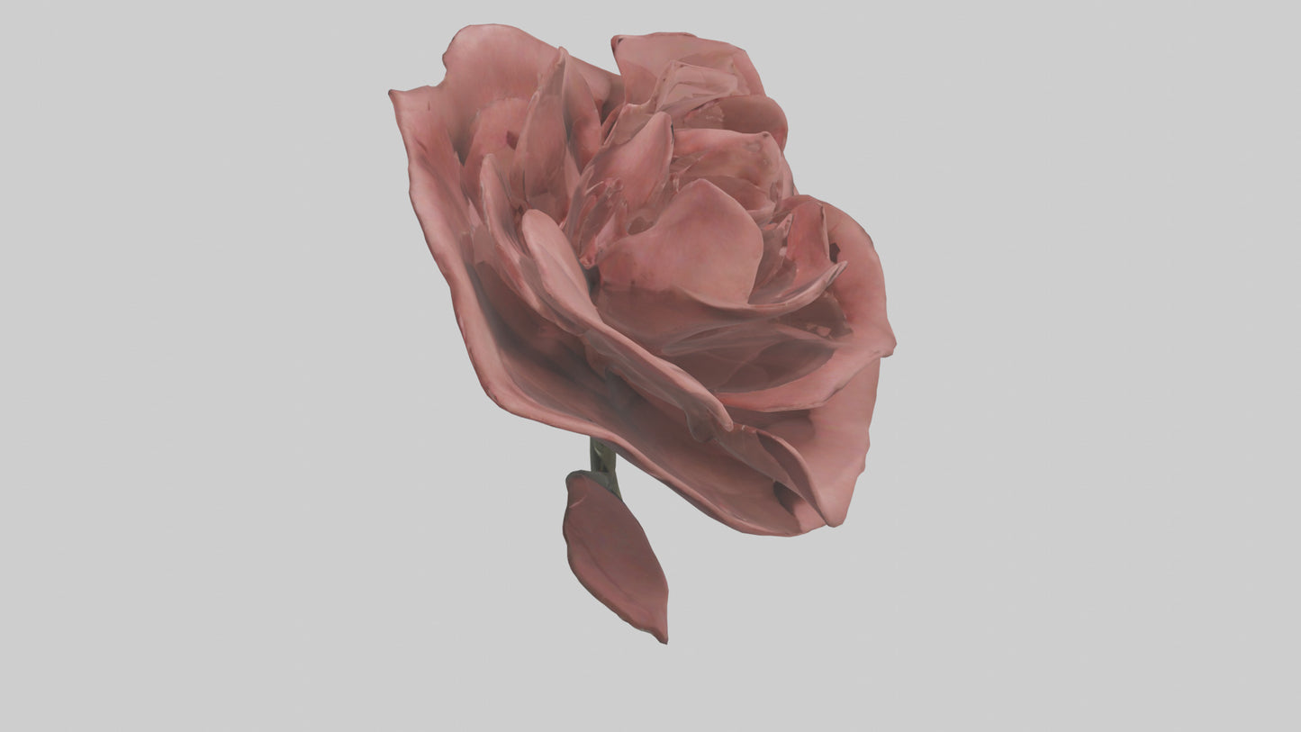 3D model Rose model VR / AR / low-poly