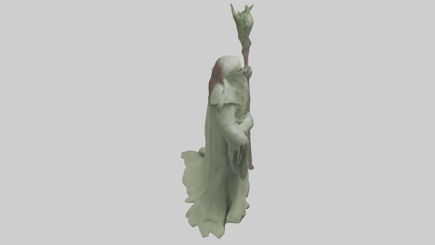 Sage model 3D model