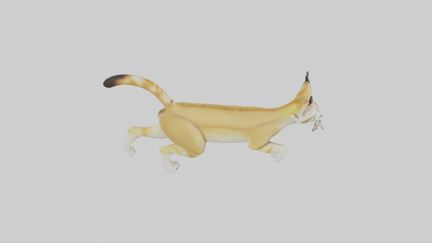 3D model Sand Cat walking on dunes model VR / AR / low-poly