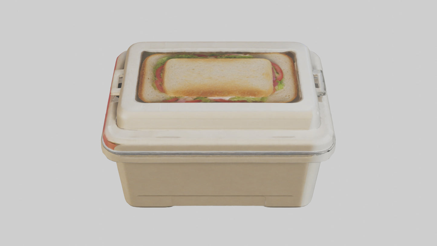 3D model Sandwich Box model VR / AR / low-poly