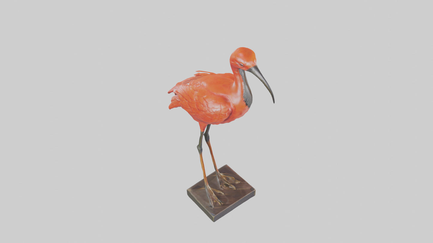 Scarlet Ibis statue model VR / AR / low-poly