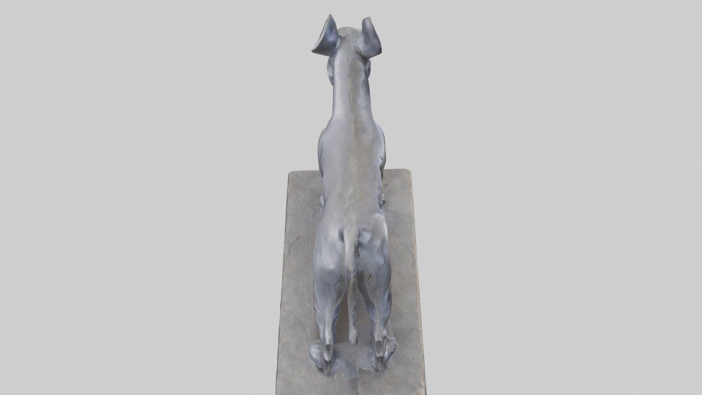 Schnauzer statue model VR / AR / low-poly