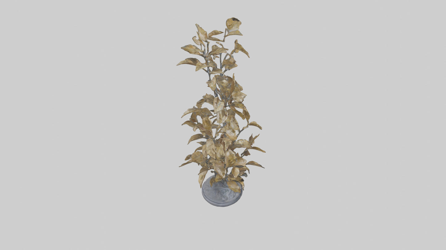3D model Sculpture of Wind in Leaves statue model VR / AR / low-poly