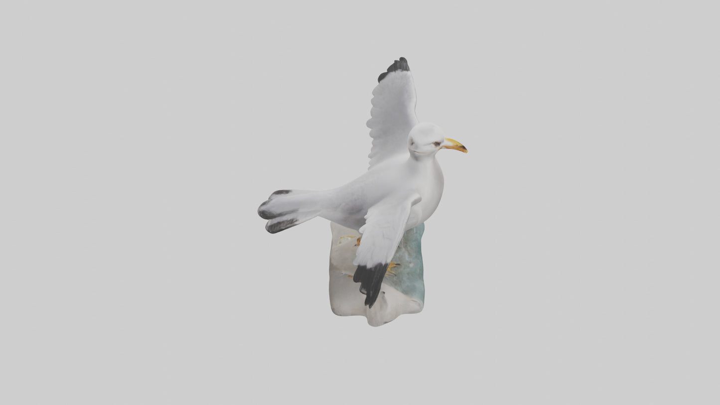 Seagull Figurine model VR / AR / low-poly