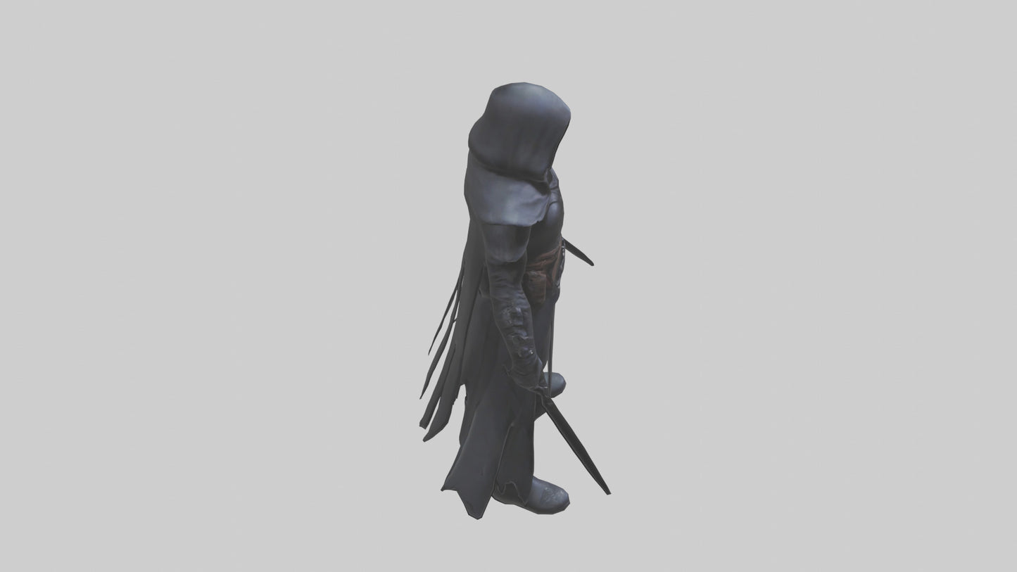 Shadow assassin model 3D model