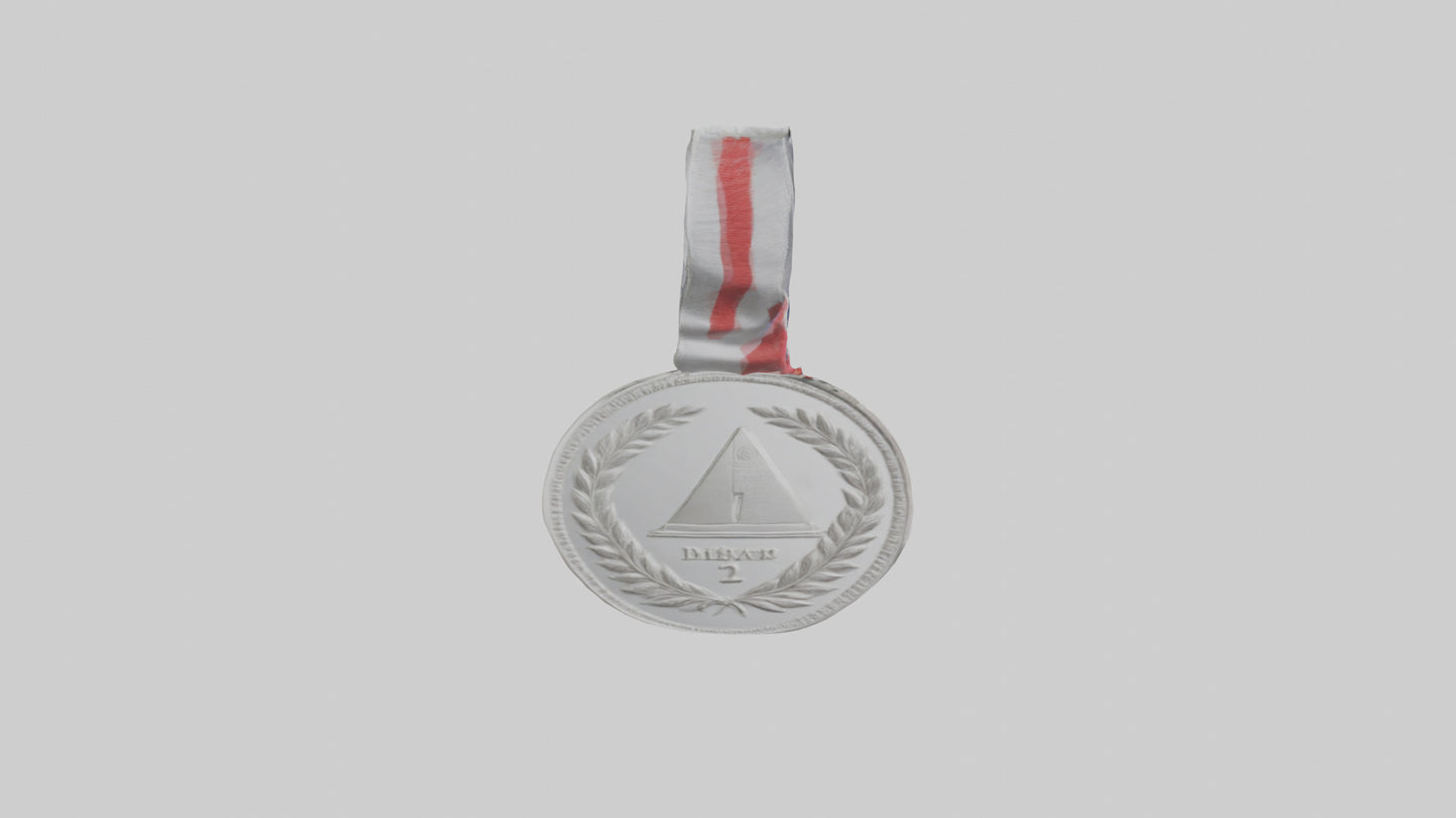 Silver Medal for Achievement model 3D model
