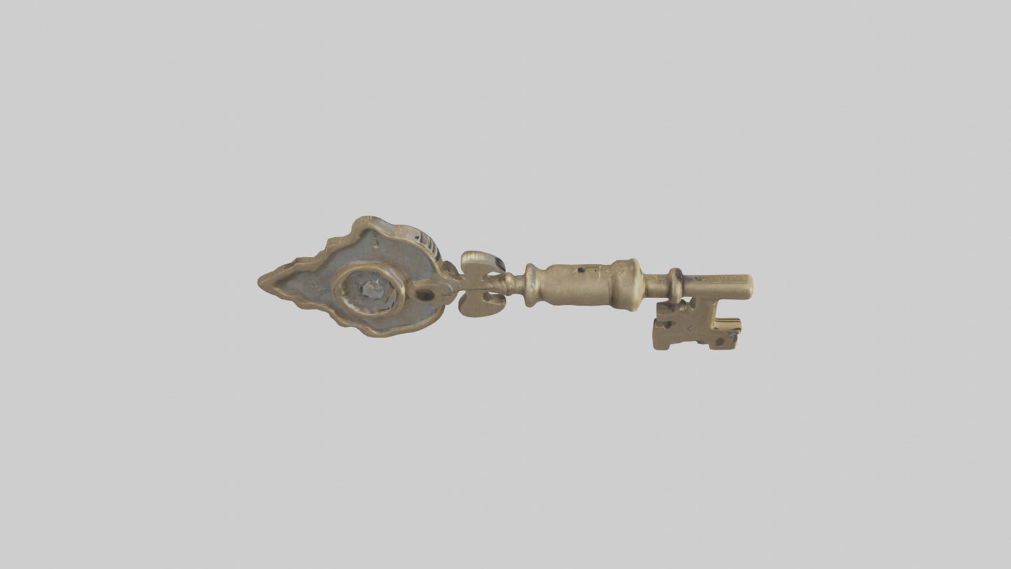 Skeleton Key model 3D model
