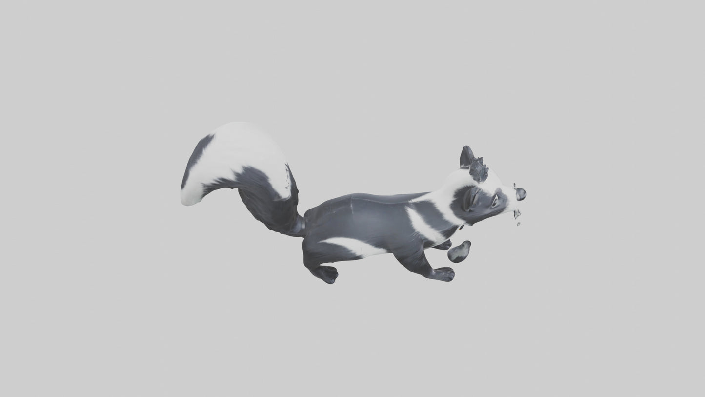 Skunk spraying model 3D model