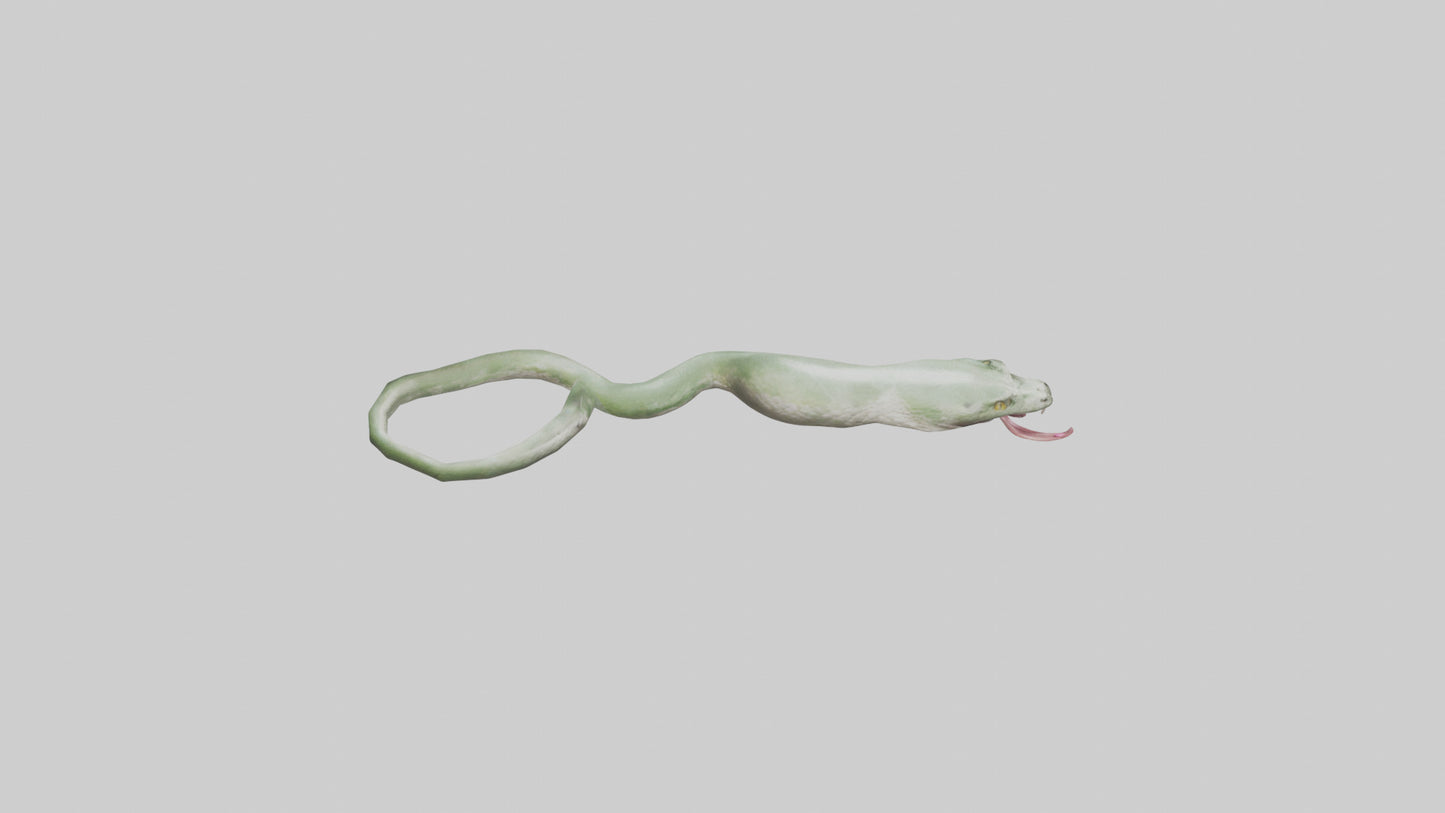 Snake Tongue Model 3D model