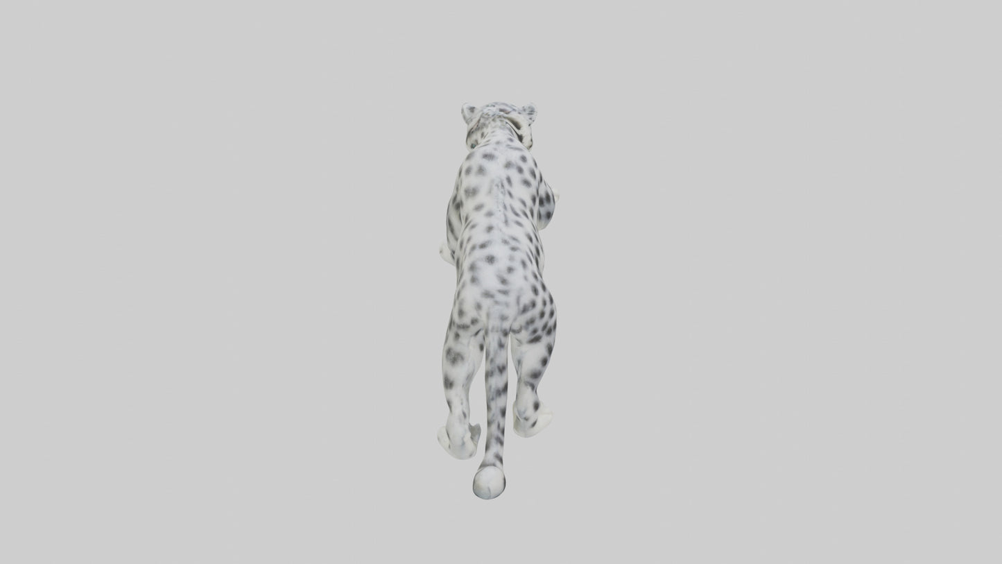 Snow Leopard hunting model 3D model