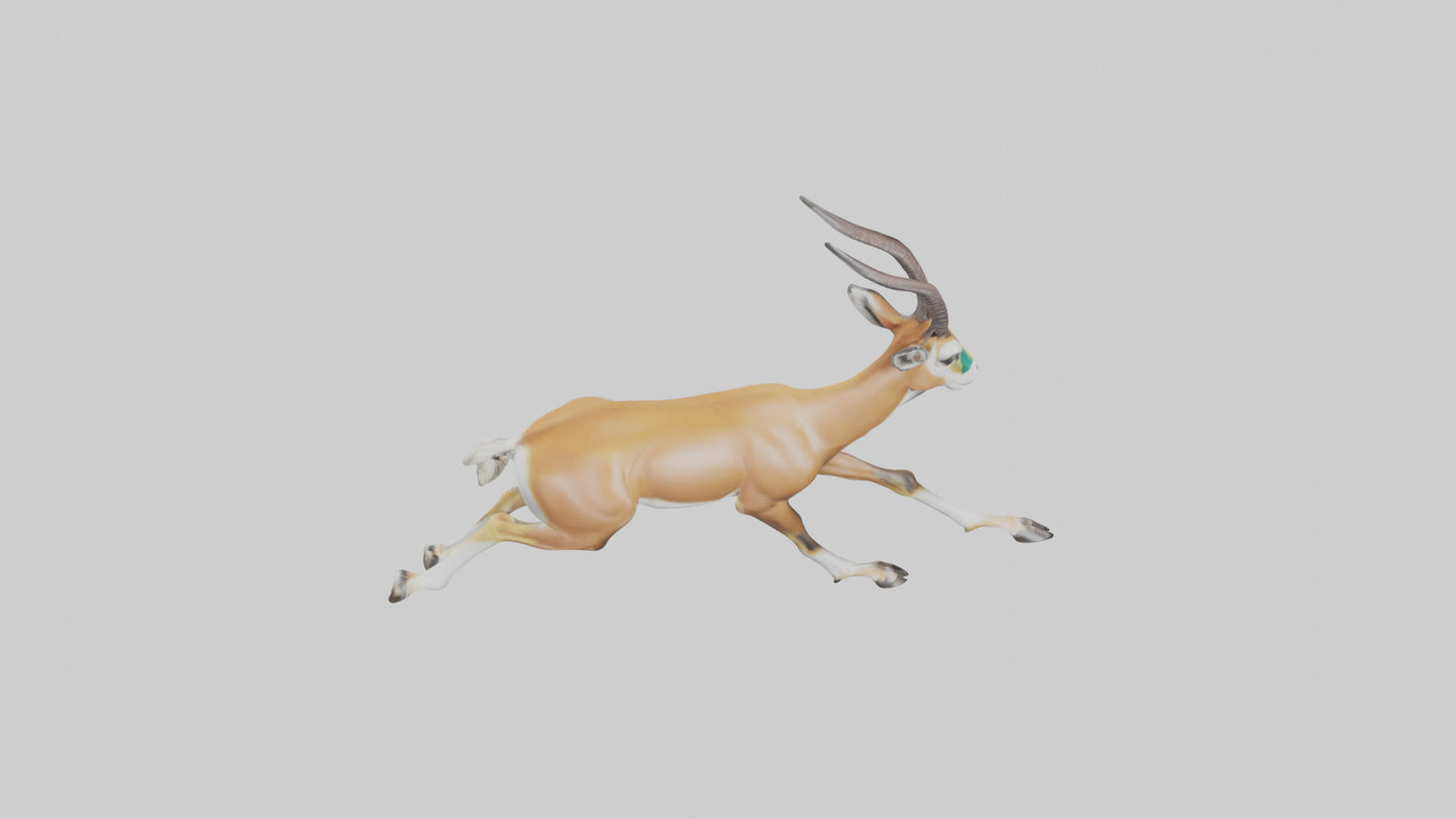 Springbok running model 3D model