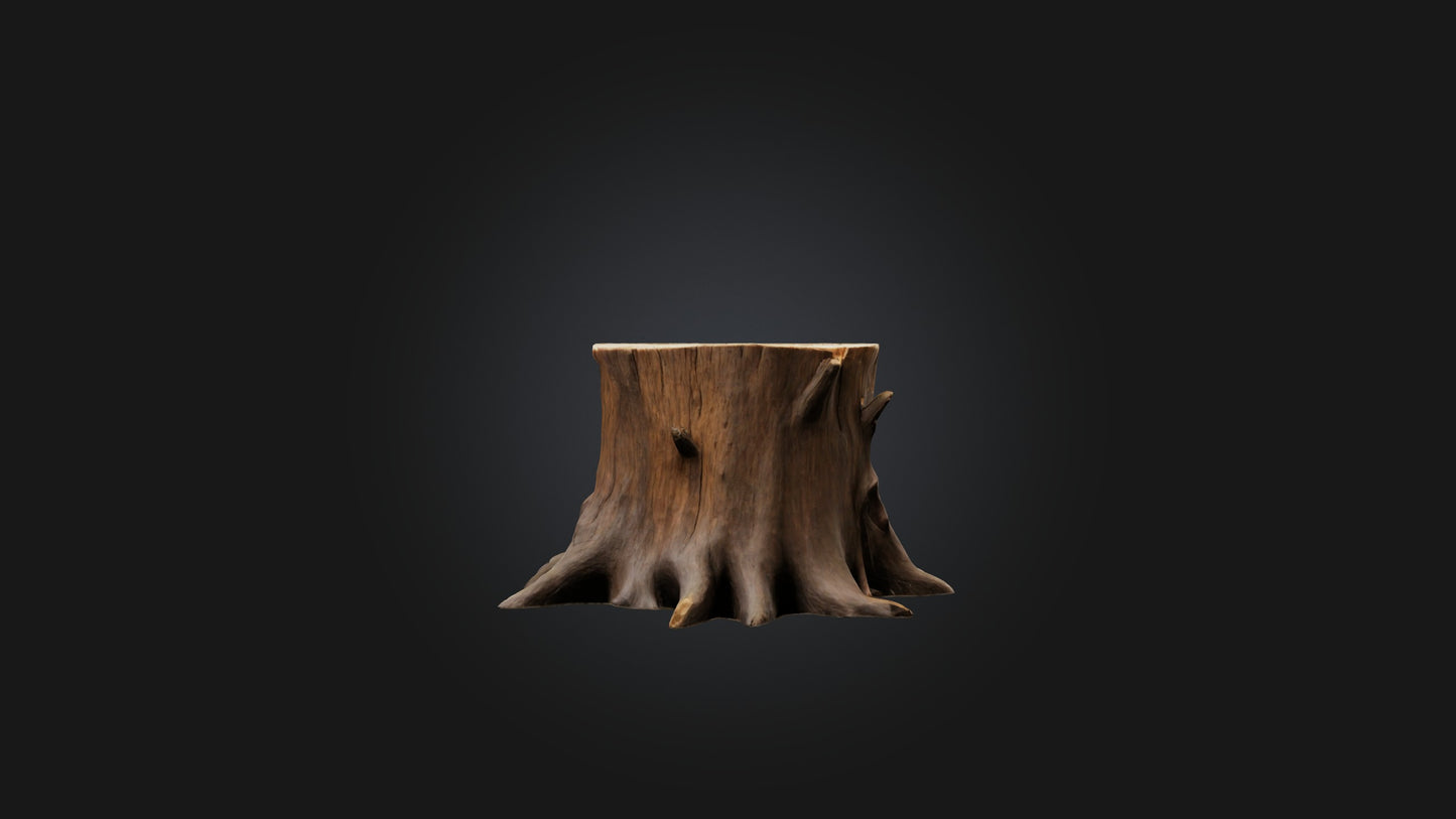 3D model Tree Stump Model VR / AR / low-poly