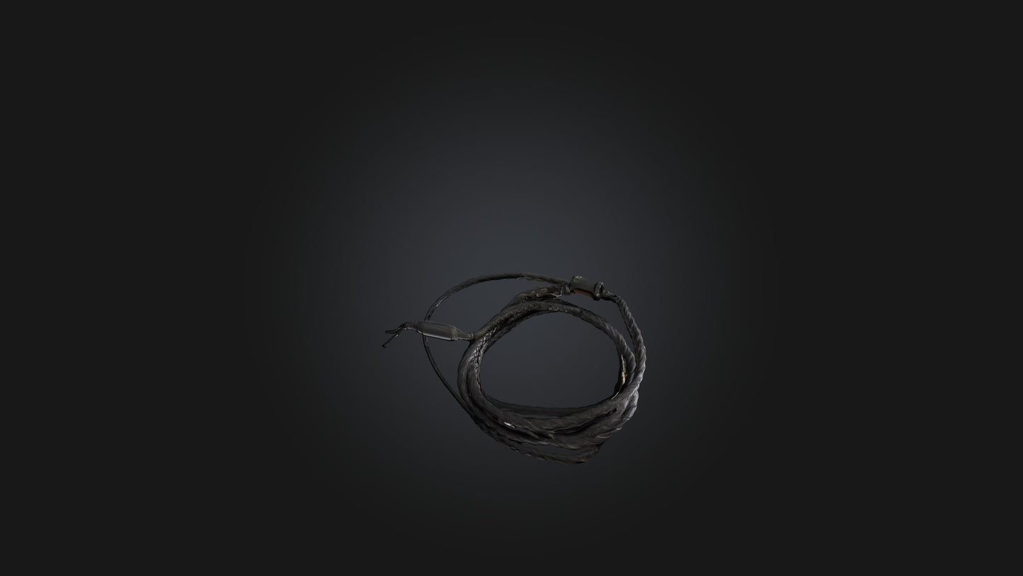 3D model Whip model VR / AR / low-poly