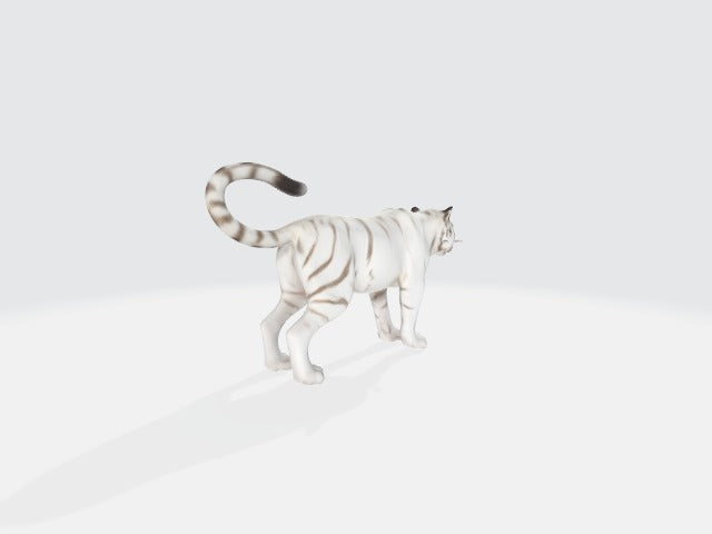 White Tiger 3D Model - Animated and Rigged 3D model animated rigged