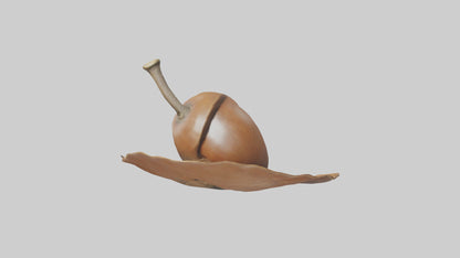 3D model Acorn Model 1 VR / AR / low-poly