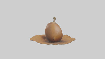 3D model Acorn Model 1 VR / AR / low-poly