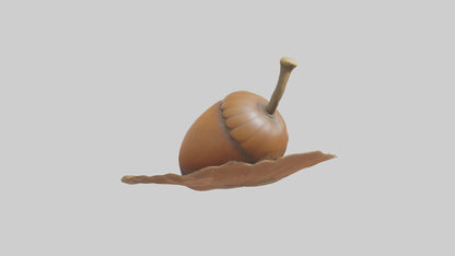 3D model Acorn Model 1 VR / AR / low-poly