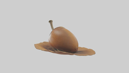 3D model Acorn Model 1 VR / AR / low-poly